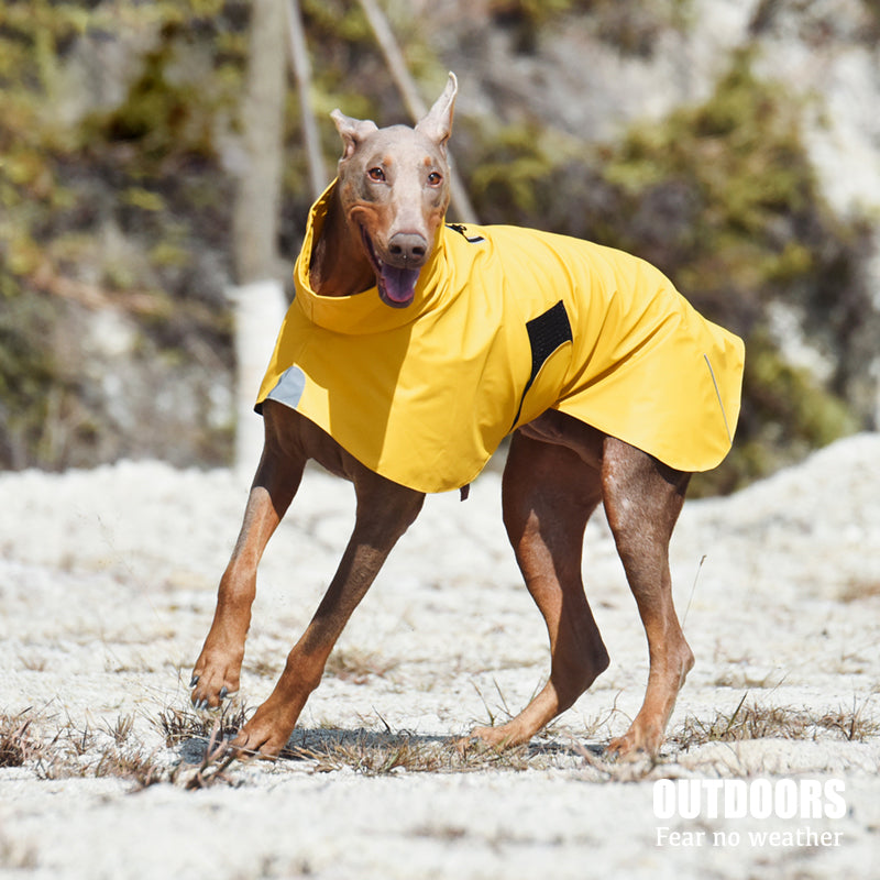 Pet Waterproof Shell Jacket Windproof Raincoat
