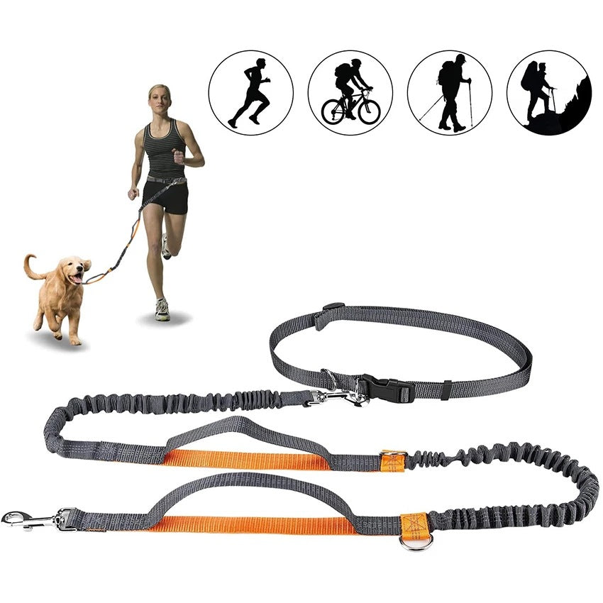 Adjustable Pet Harness Collar Jogging Rope Leash Suit