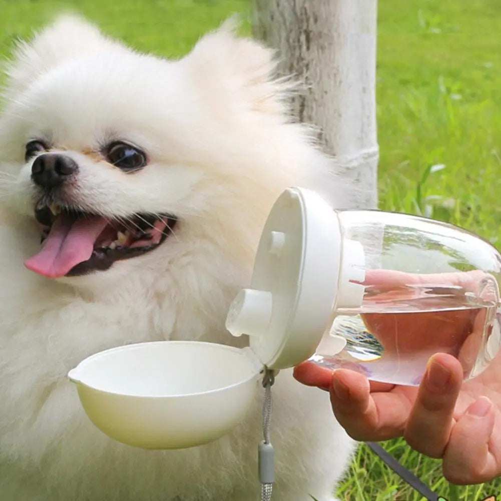 Portable Pet Water Bottle With Built In Feeding Bowl