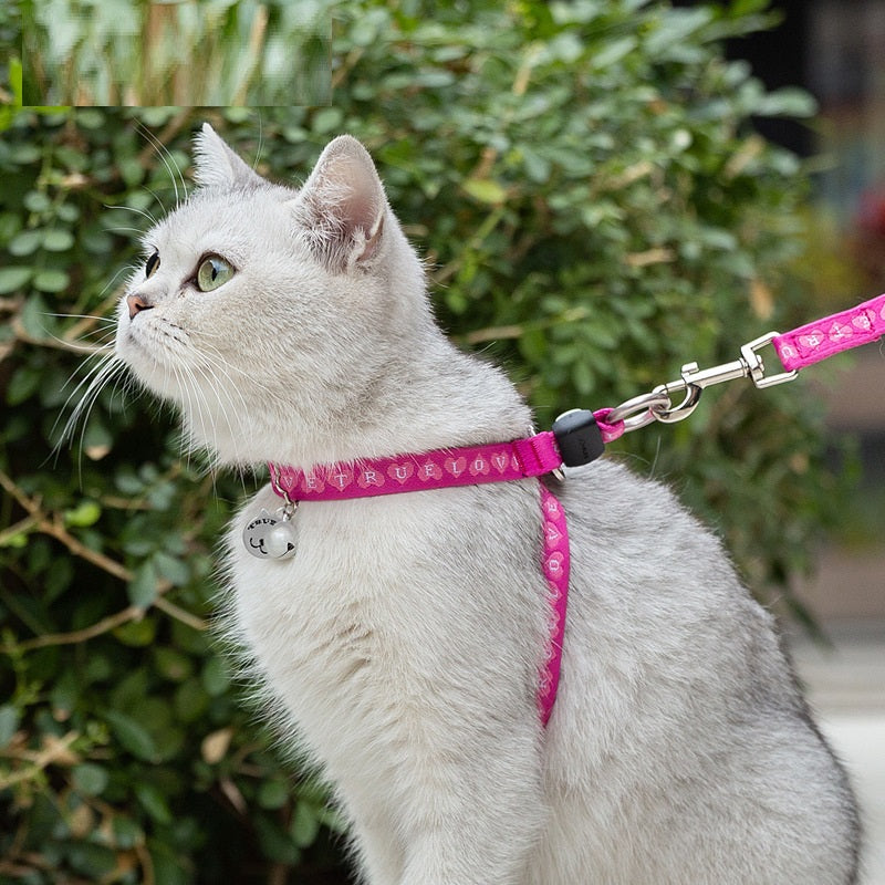 Pet Vest Chest Strap Bell Rope Leash Small Medium