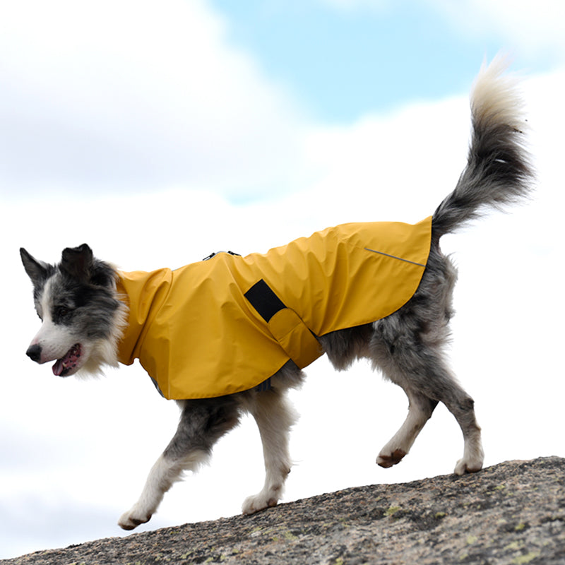 Pet Waterproof Shell Jacket Windproof Raincoat