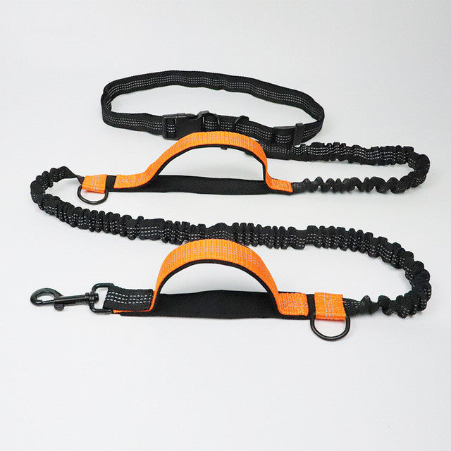 Adjustable Pet Harness Collar Jogging Rope Leash Suit